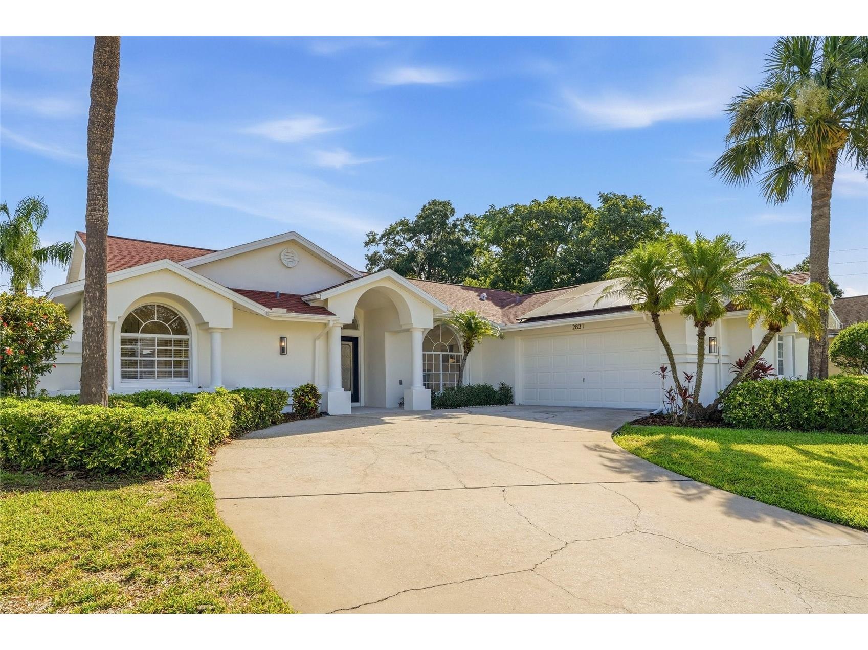 2831 Jarvis Circle Palm Harbor FL 34683 TB8518166 image52