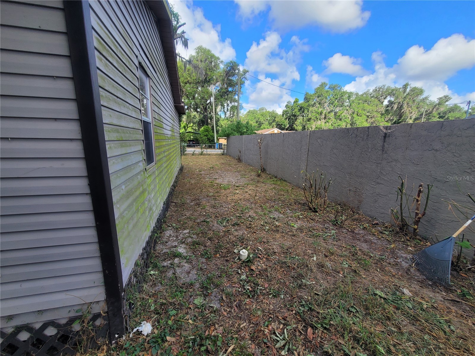 2831 N Valrico Road Seffner FL 33584 TB8510956 image10