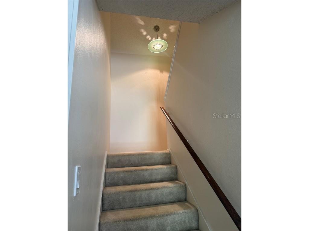 2831 Rampart Circle Clearwater FL 33761 TB8421008 image20