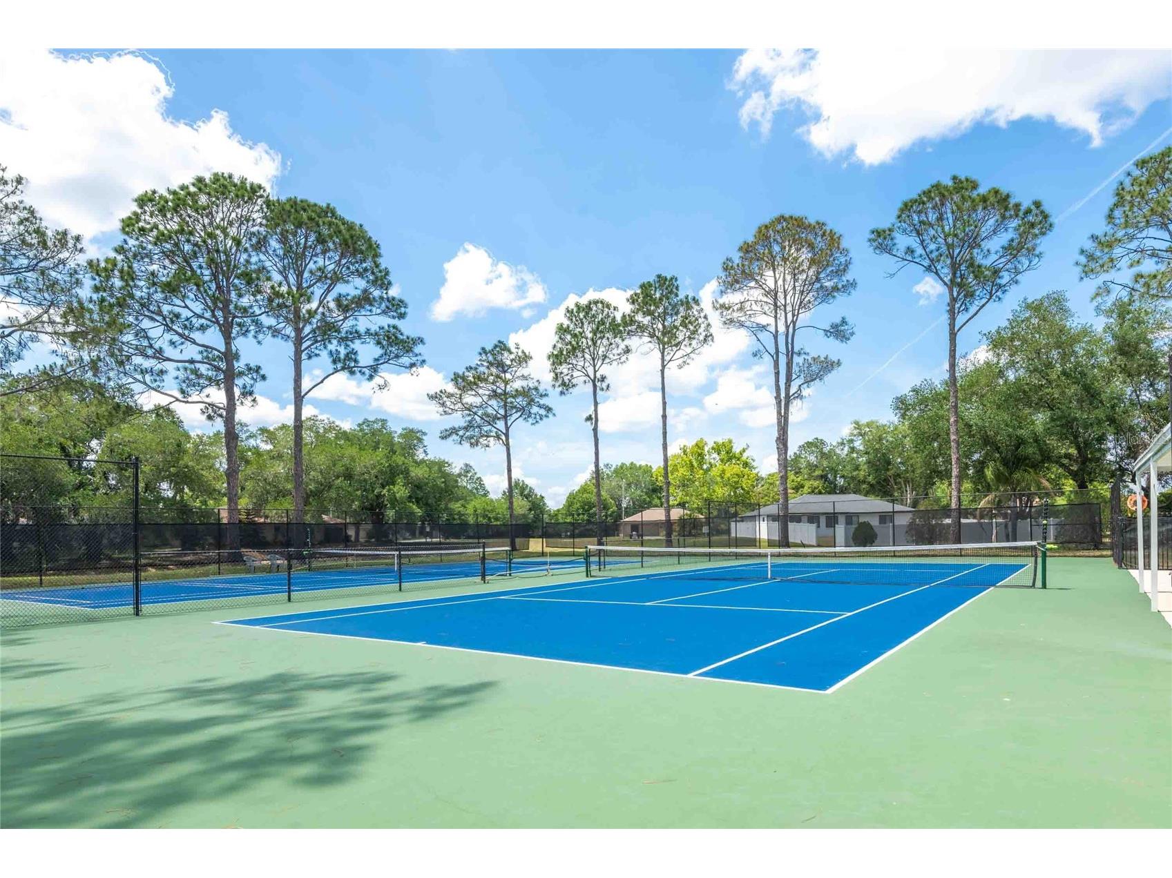28310 Tanglewood Drive Wesley Chapel FL 33543 TB8506756 image25