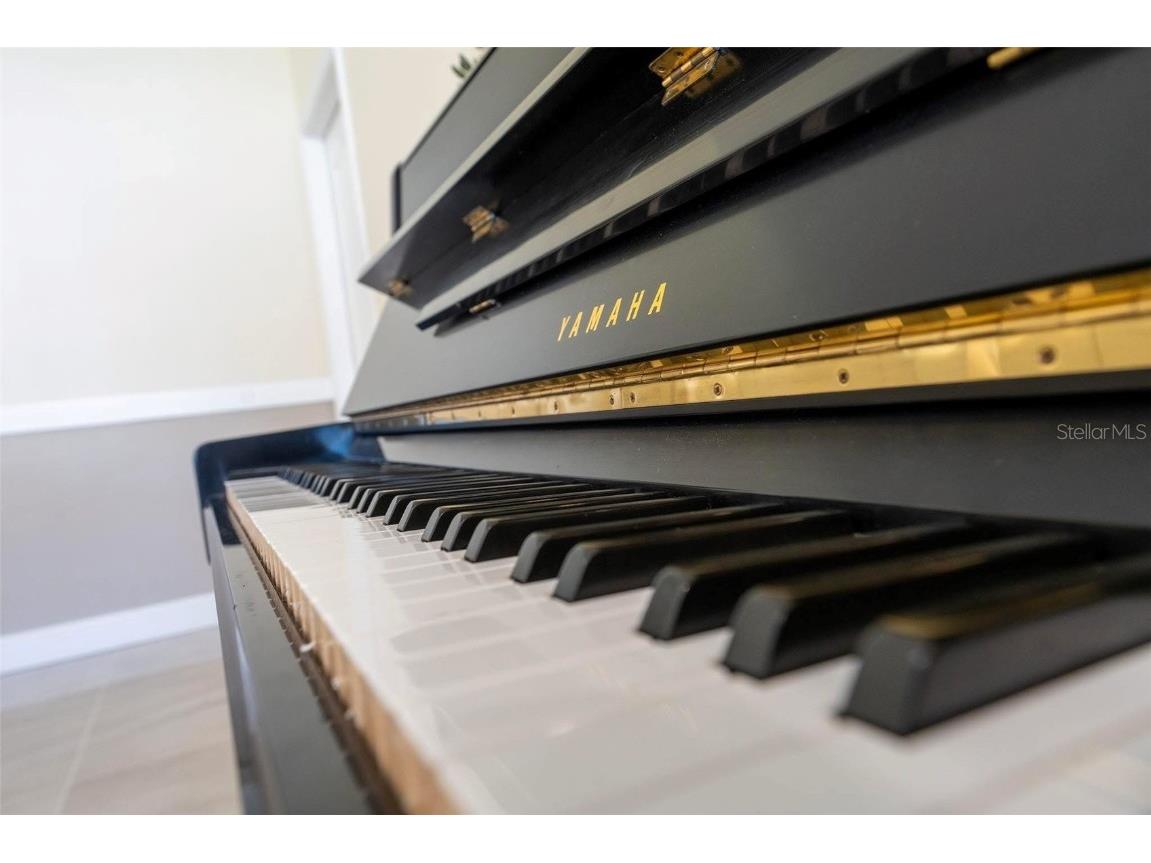 2832 Rodeo Drive Kissimmee FL 34746 O6357305 image20