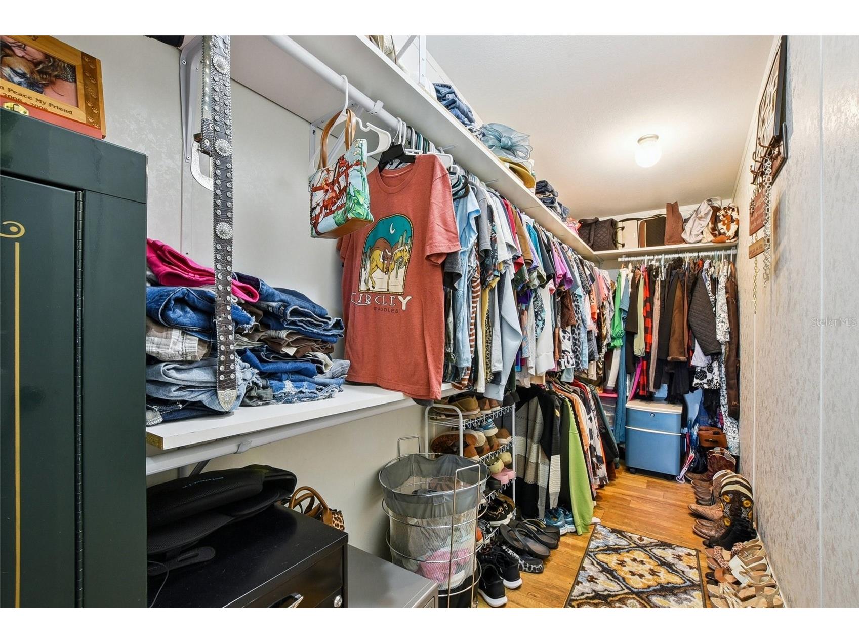 28321 Shirley Shores Road Tavares FL 32778 G5103182 image19