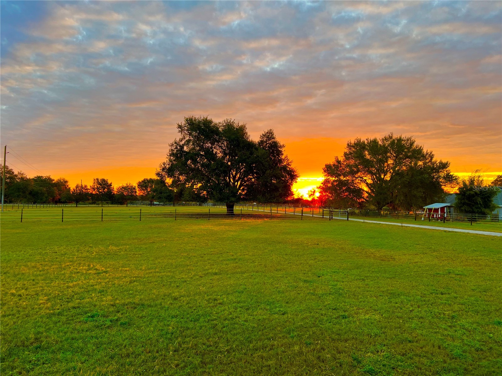 28321 Shirley Shores Road Tavares FL 32778 G5103182 image4