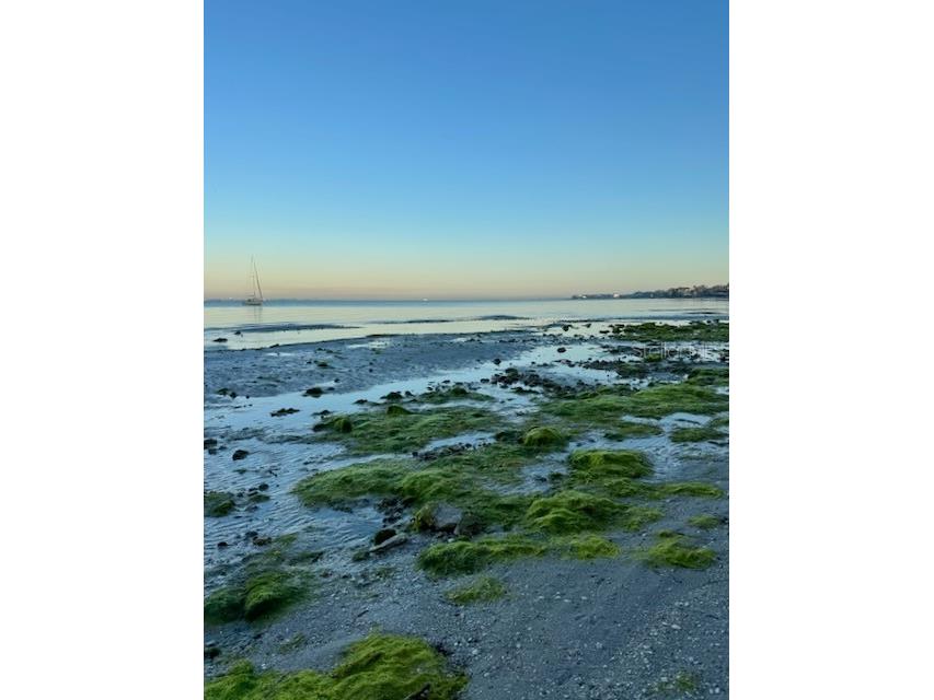 2833 Bay Shore Circle Sarasota FL 34234 A4648576 image46