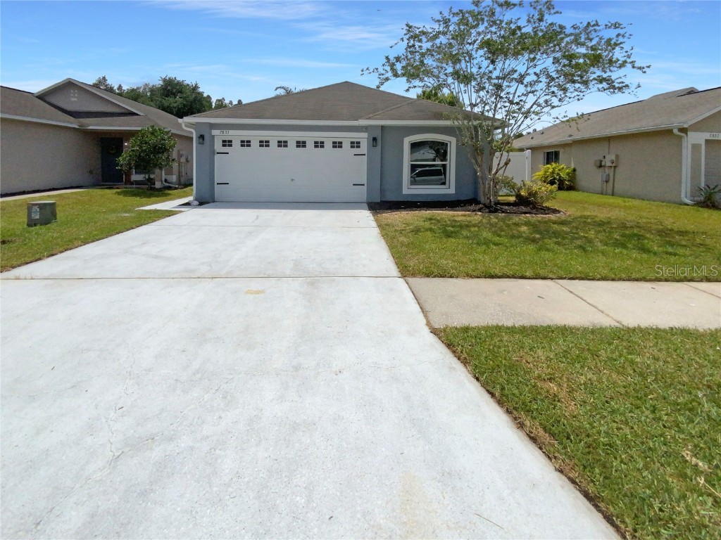 2833 Mingo Drive Land O Lakes FL 34638 O6213730 image1