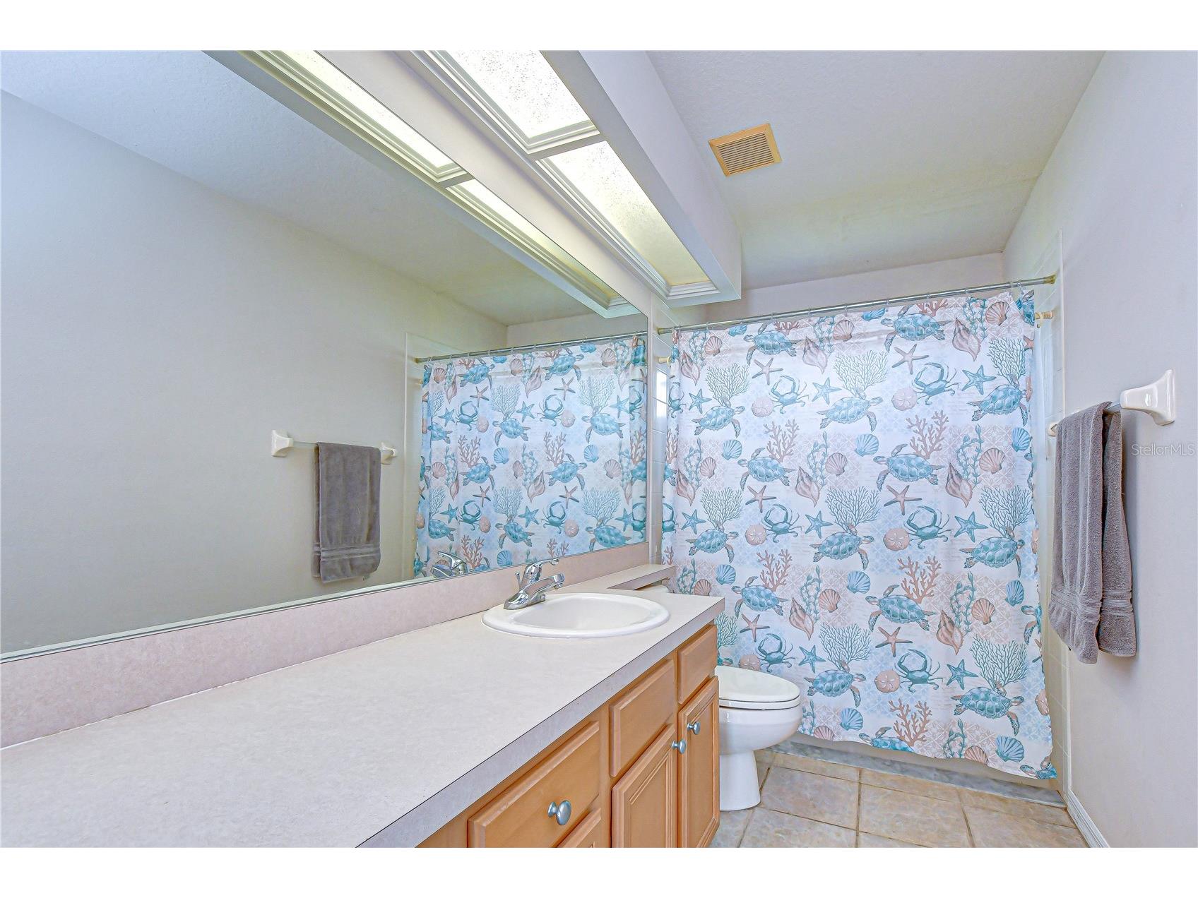 2833 Mossy Timber Trail Valrico FL 33596 TB8501464 image27