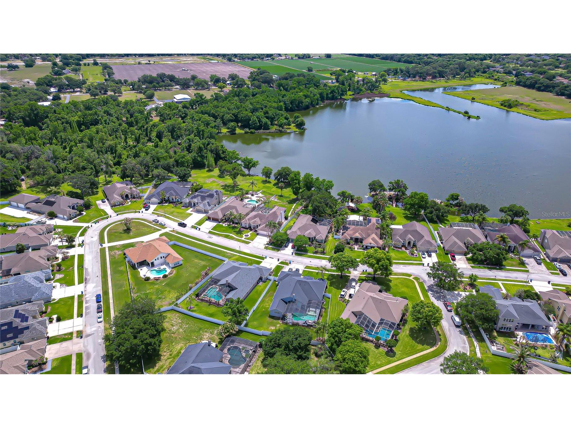 2833 Mossy Timber Trail Valrico FL 33596 TB8501464 image3