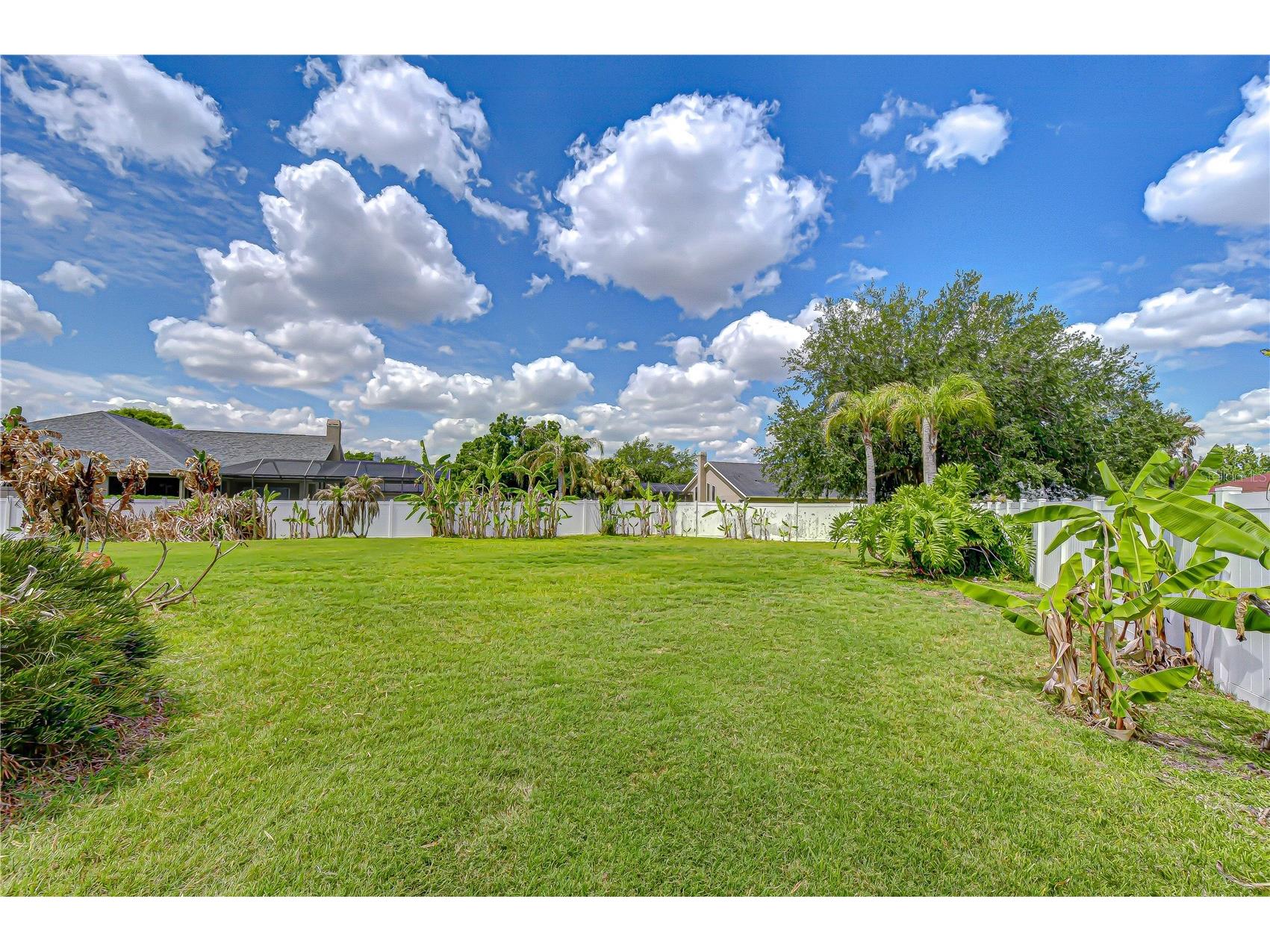 2833 Mossy Timber Trail Valrico FL 33596 TB8501464 image34