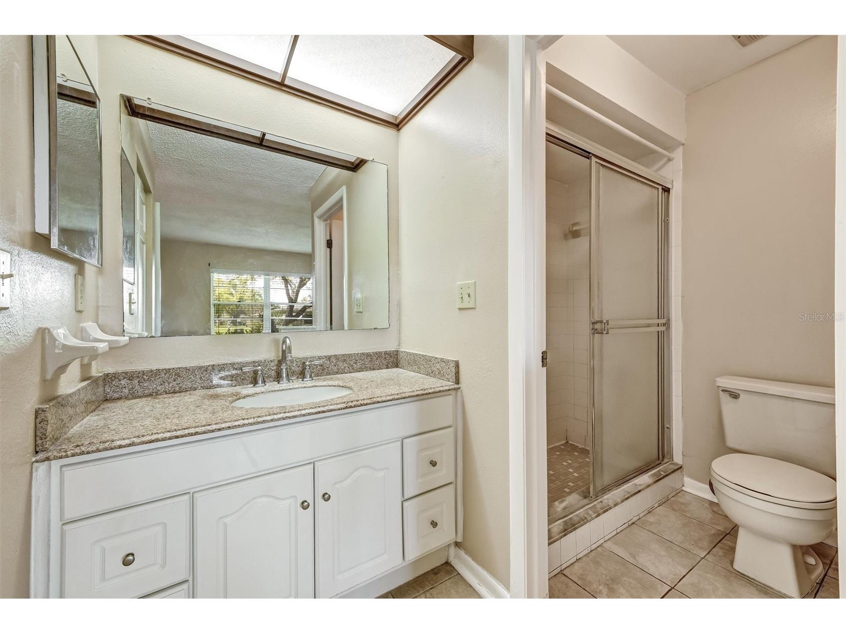 2833 Orange Tree Circle N #C Palm Harbor FL 34684 TB8493800 image6