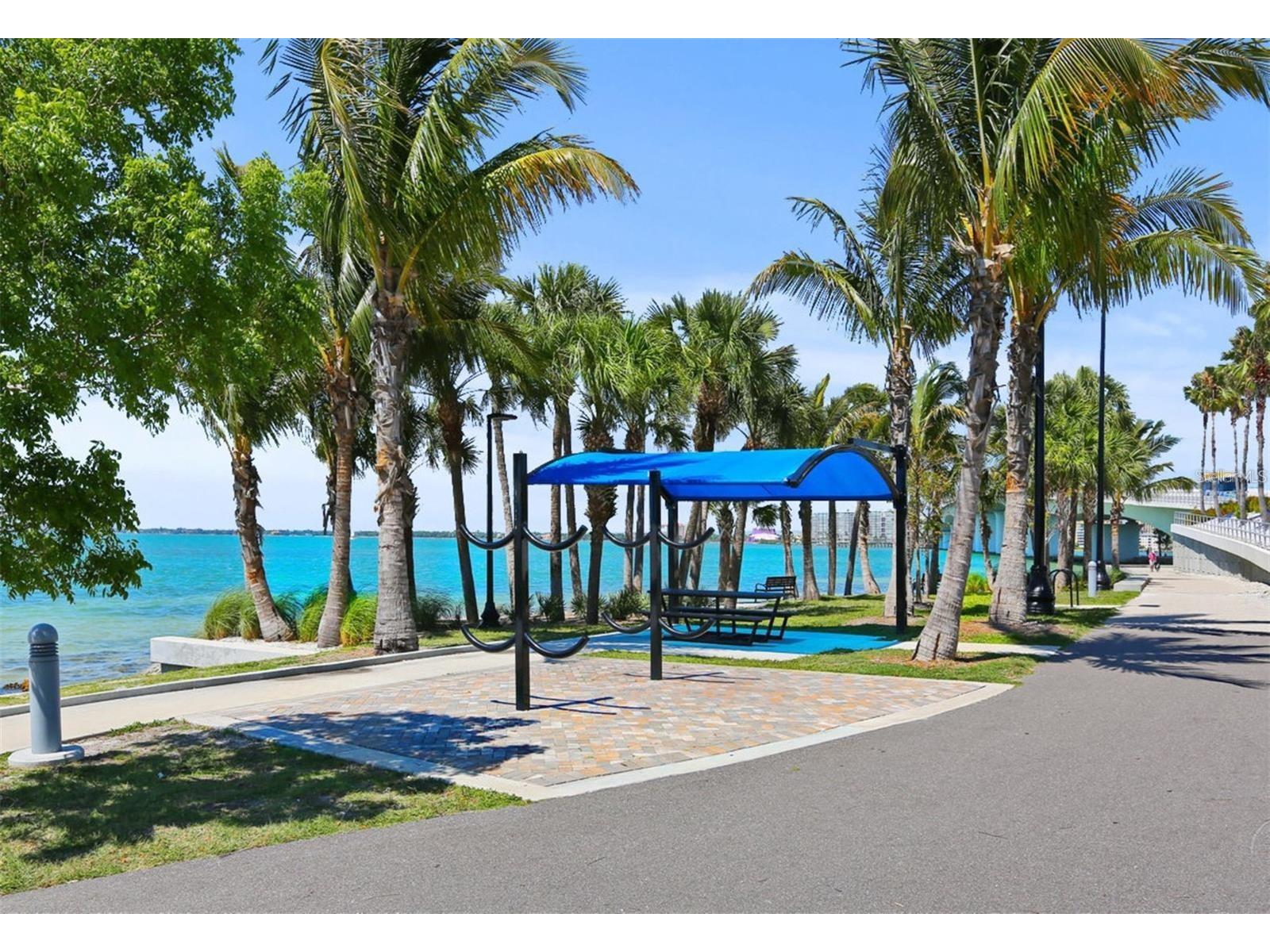 2833 Sunnyside Street Sarasota FL 34239 N6143993 image58