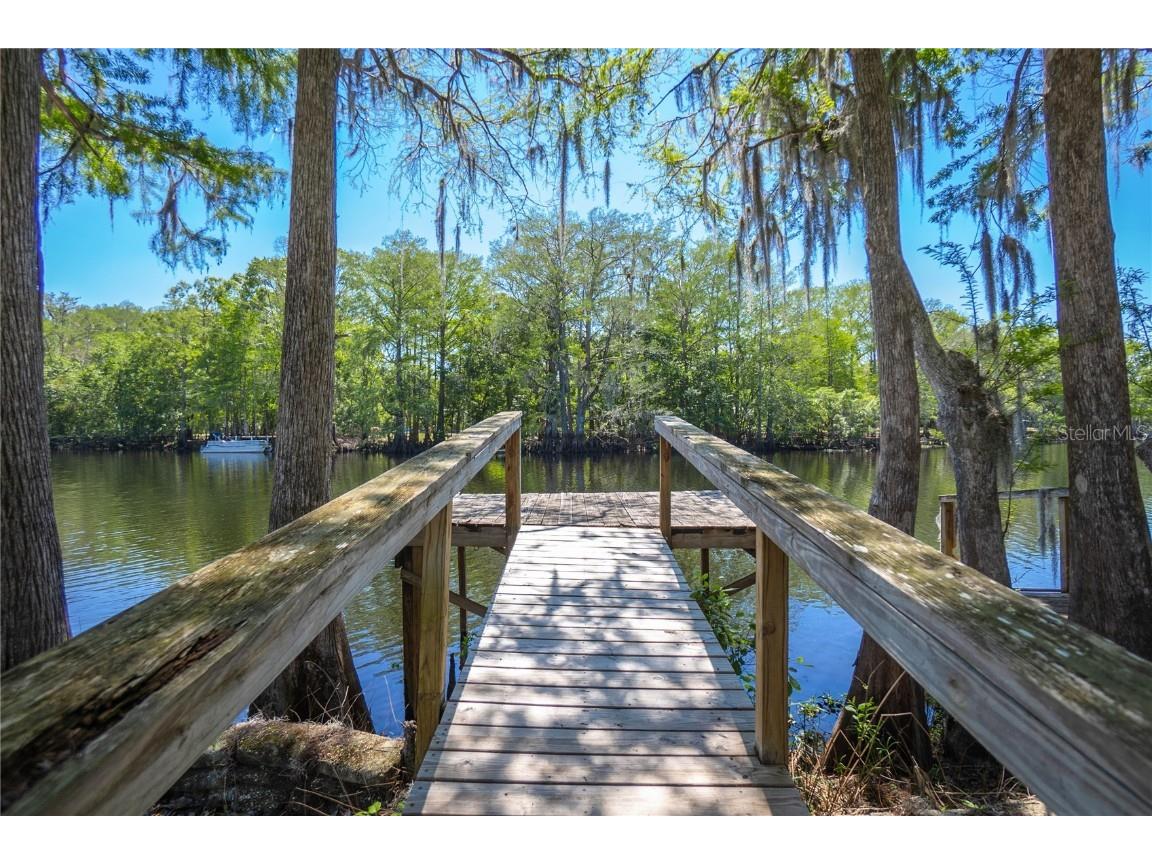 28330 Peterson Camp Road Brooksville FL 34601 - WITHLACOOCHEE RIVER W7874130 image36