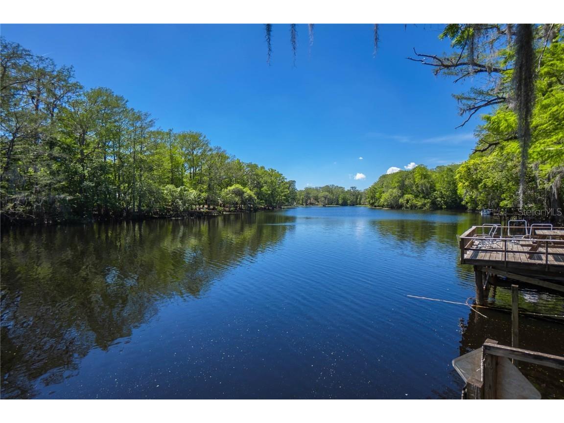 28330 Peterson Camp Road Brooksville FL 34601 - WITHLACOOCHEE RIVER W7874130 image38