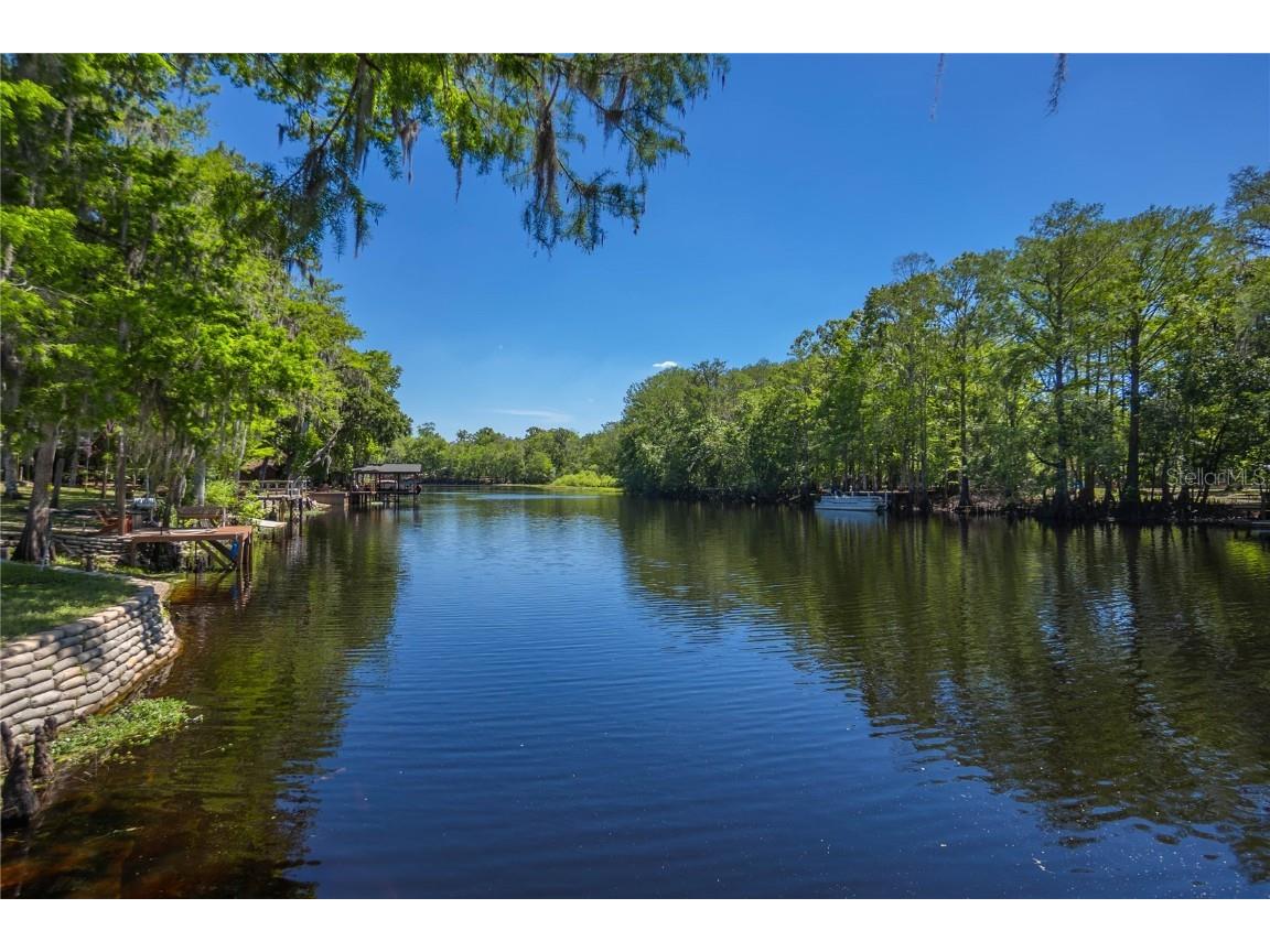 28330 Peterson Camp Road Brooksville FL 34601 - WITHLACOOCHEE RIVER W7874130 image39