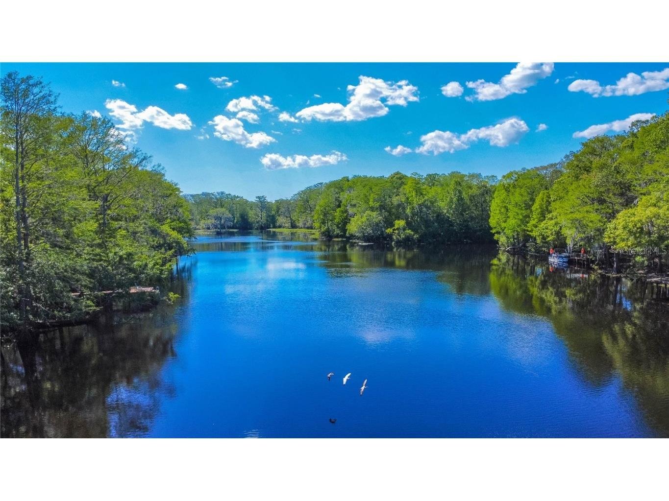 28330 Peterson Camp Road Brooksville FL 34601 - WITHLACOOCHEE RIVER W7874130 image56