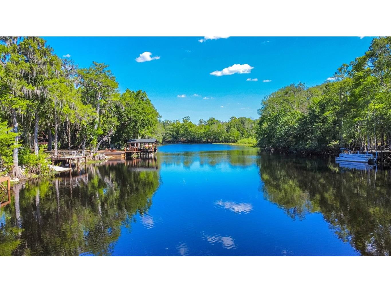 28330 Peterson Camp Road Brooksville FL 34601 - WITHLACOOCHEE RIVER W7874130 image58