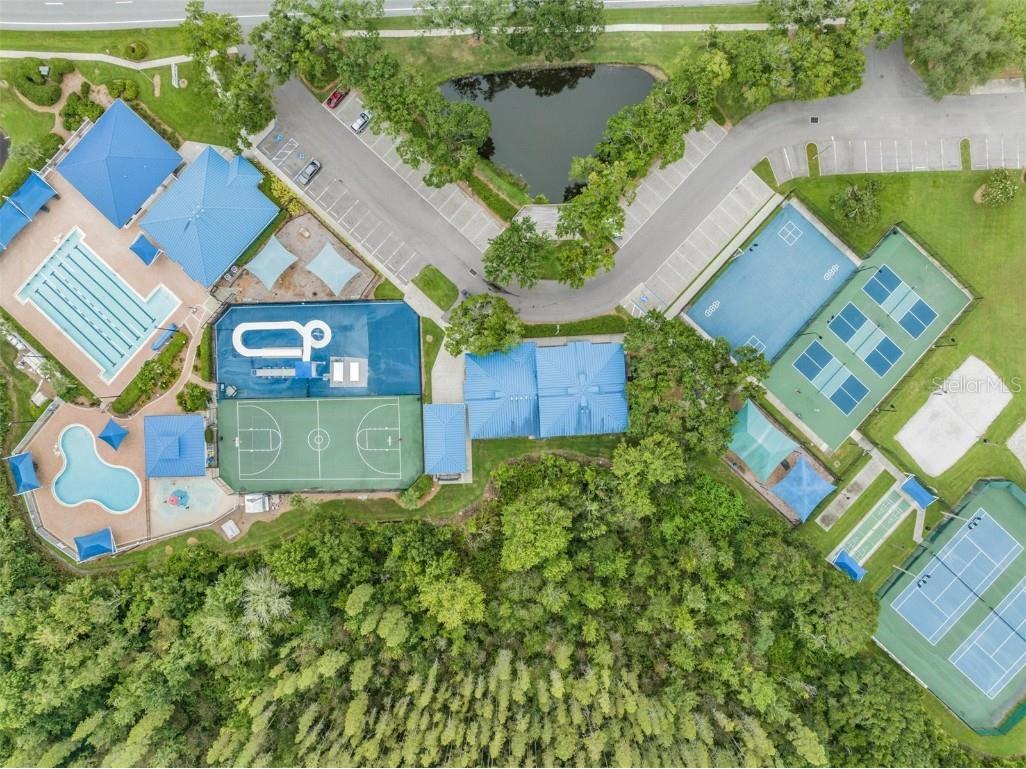 28335 Glade Fern Court Wesley Chapel FL 33543 TB8453111 image34