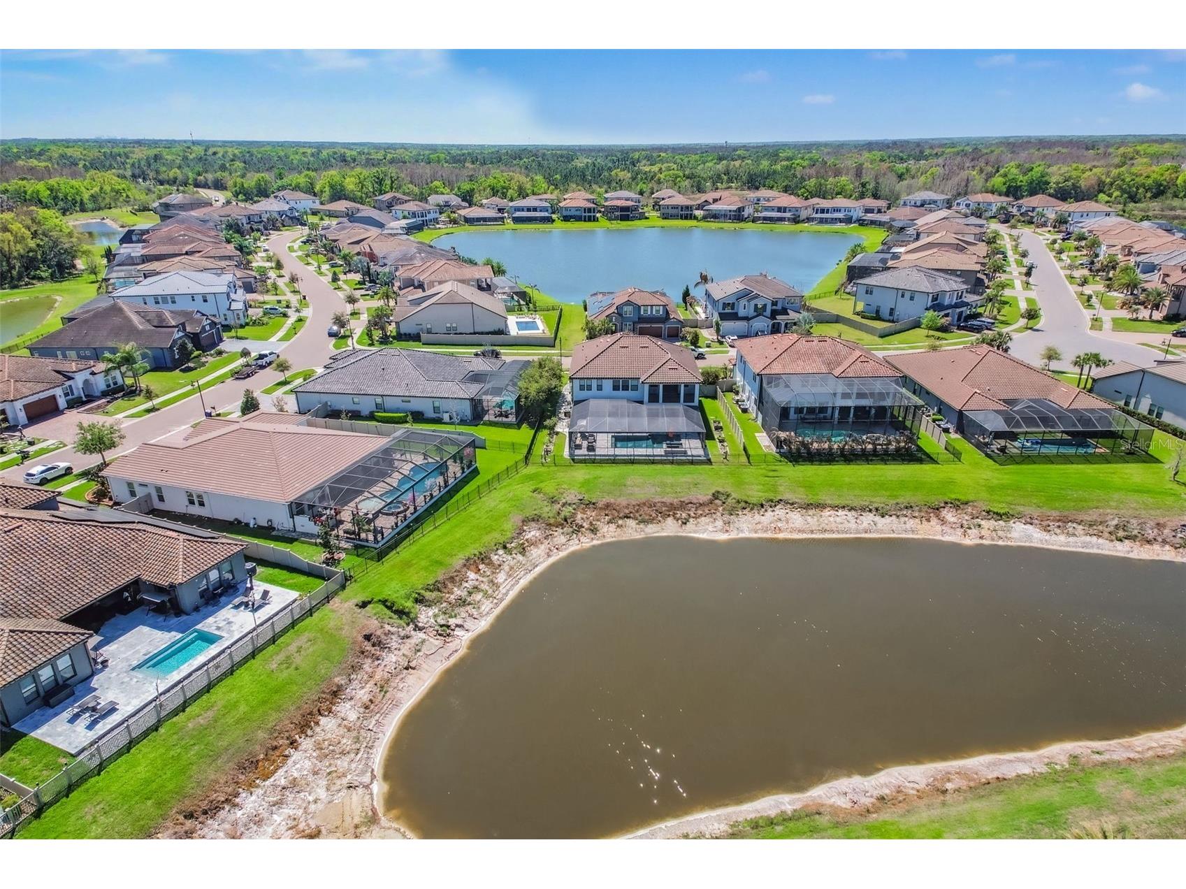 28336 Picana Lane Wesley Chapel FL 33543 TB8489055 image38