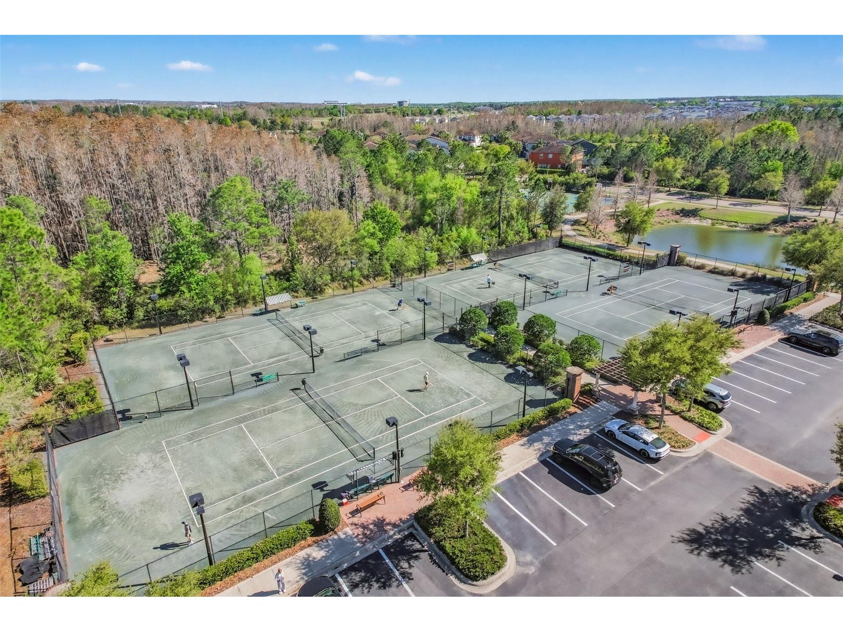28336 Picana Lane Wesley Chapel FL 33543 TB8489055 image46