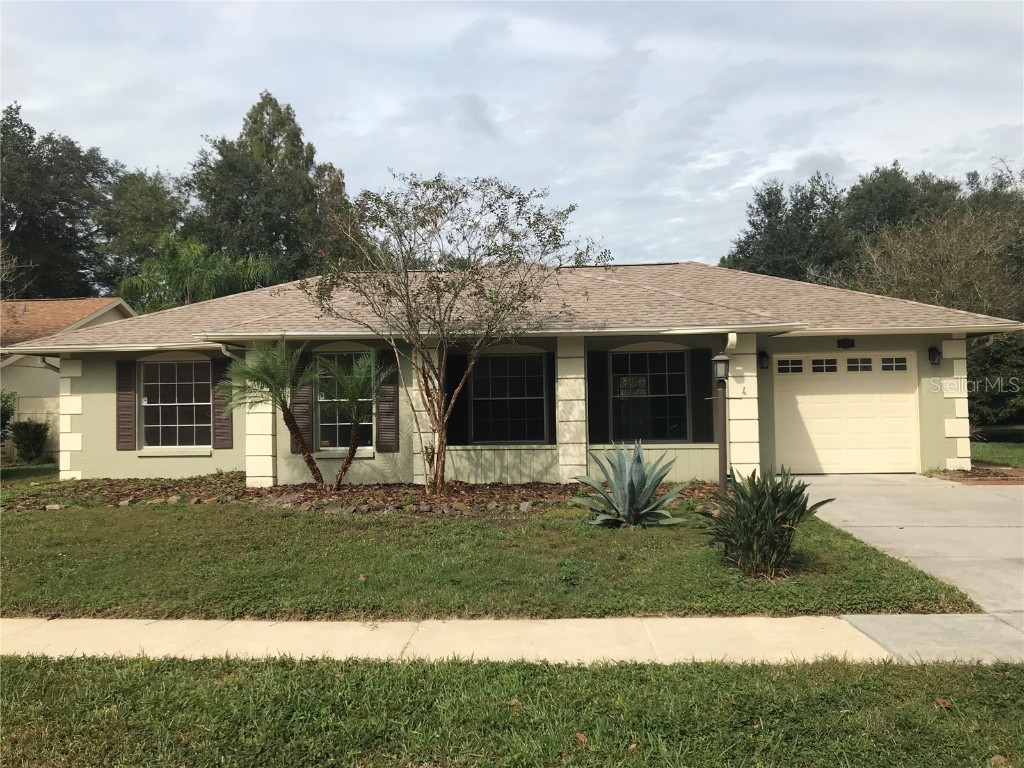28337 Tanglewood Drive Wesley Chapel FL 33543 U8139151 image1
