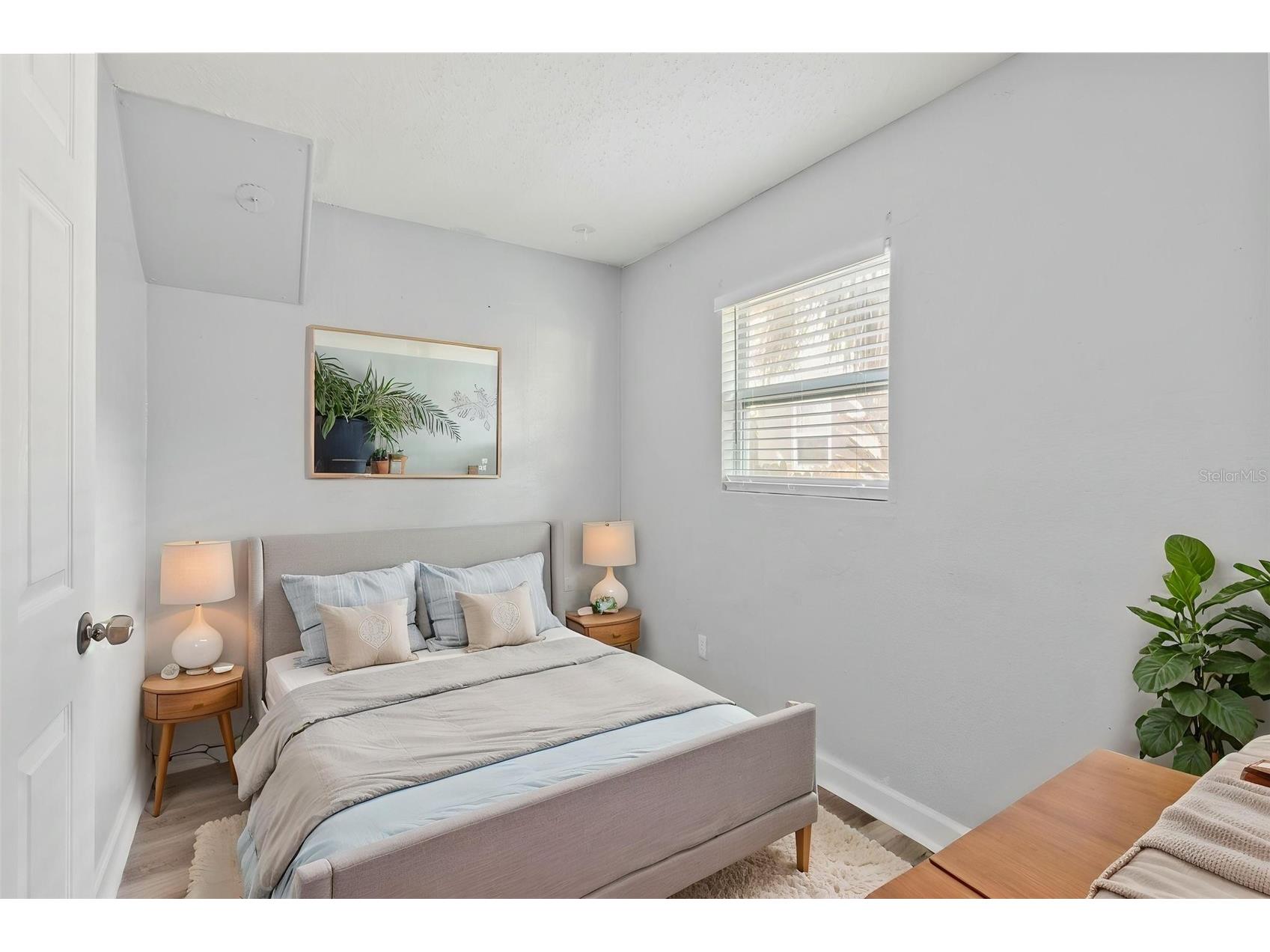2834 & 2836 Freemont Terrace S Saint Petersburg FL 33712 A4677434 image13