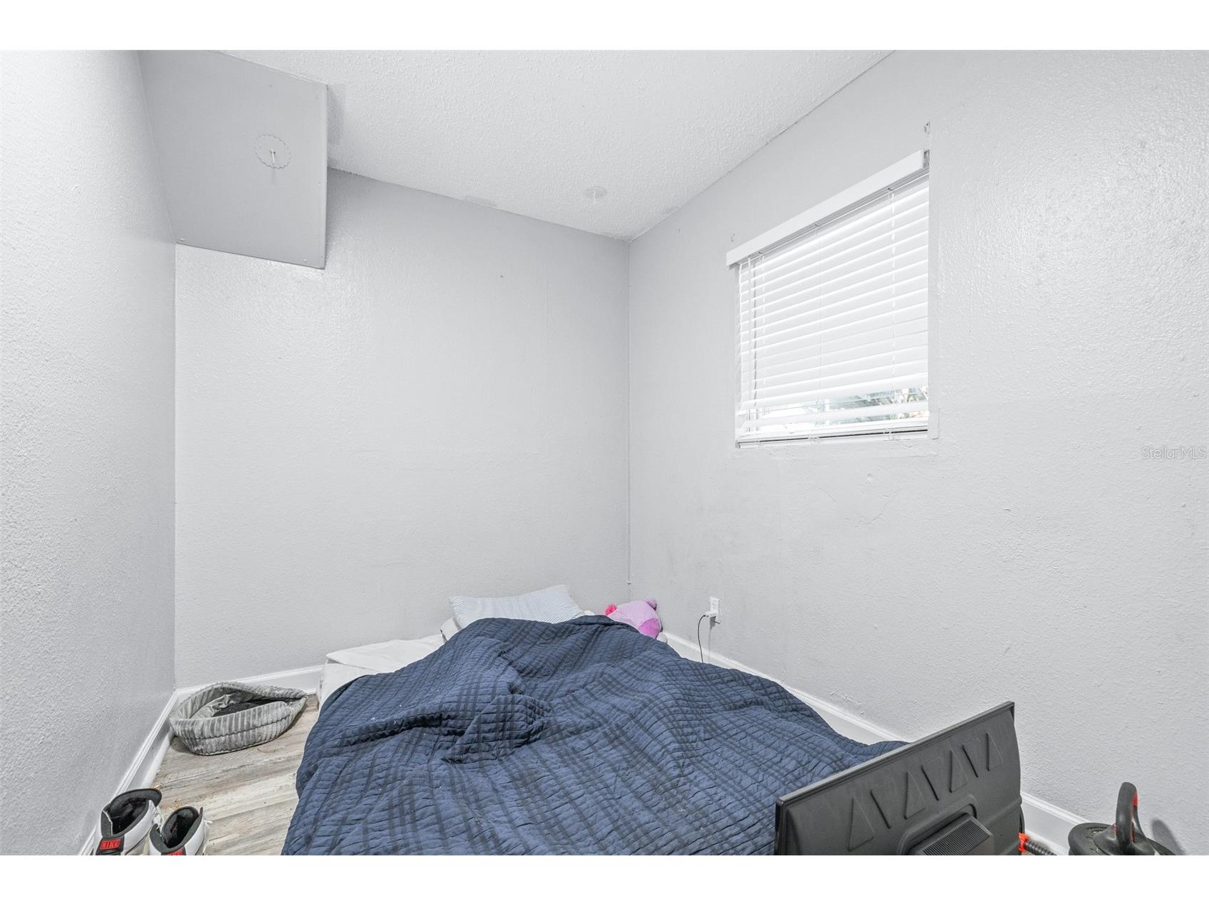 2834 & 2836 Freemont Terrace S Saint Petersburg FL 33712 TB8527594 image18