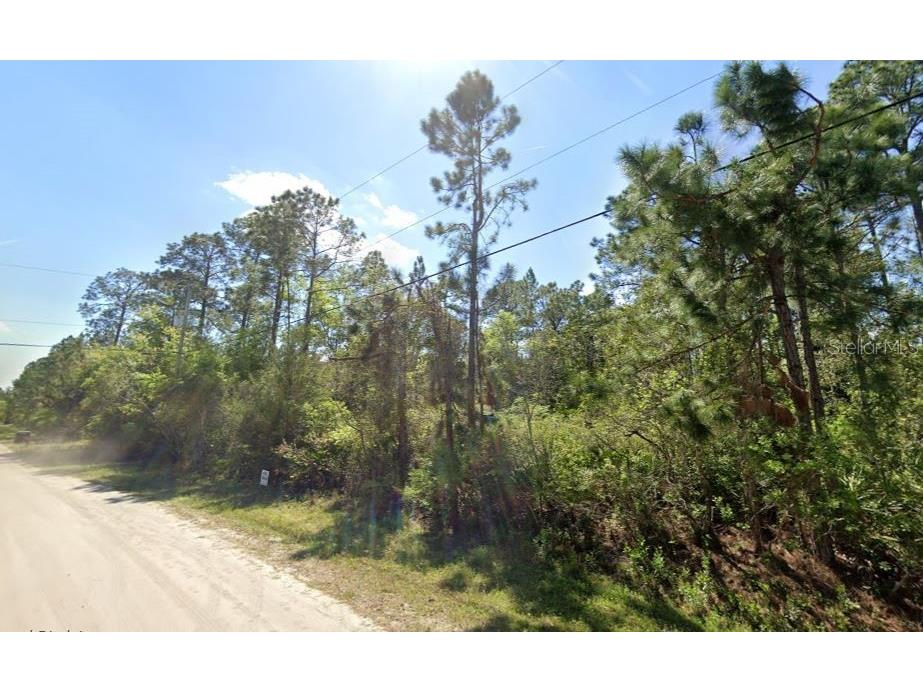2834 Orange Blossom Street Bunnell FL 32110 A4696010 image1
