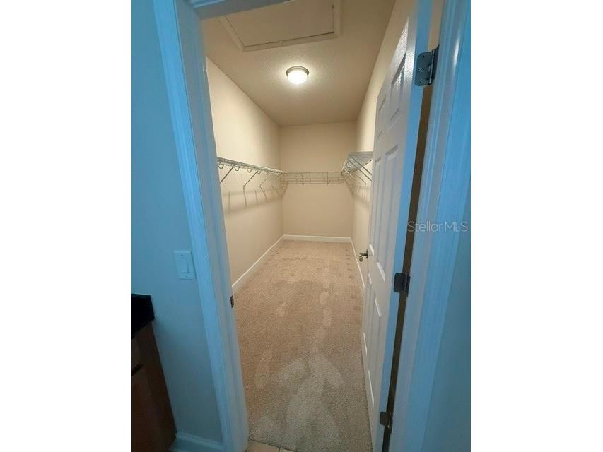 2834 Shetland Ridge Drive Valrico FL 33596 TB8504182 image23