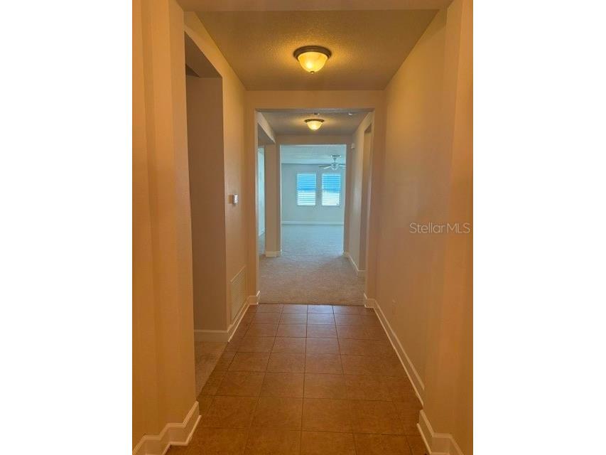2834 Shetland Ridge Drive Valrico FL 33596 TB8504182 image3