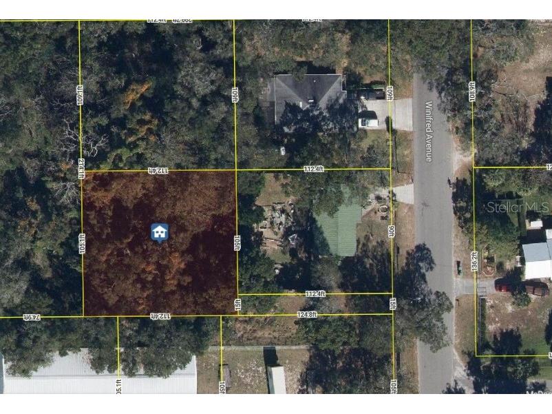 2834 Winifred Avenue Zellwood FL 32798 O6365739 image1