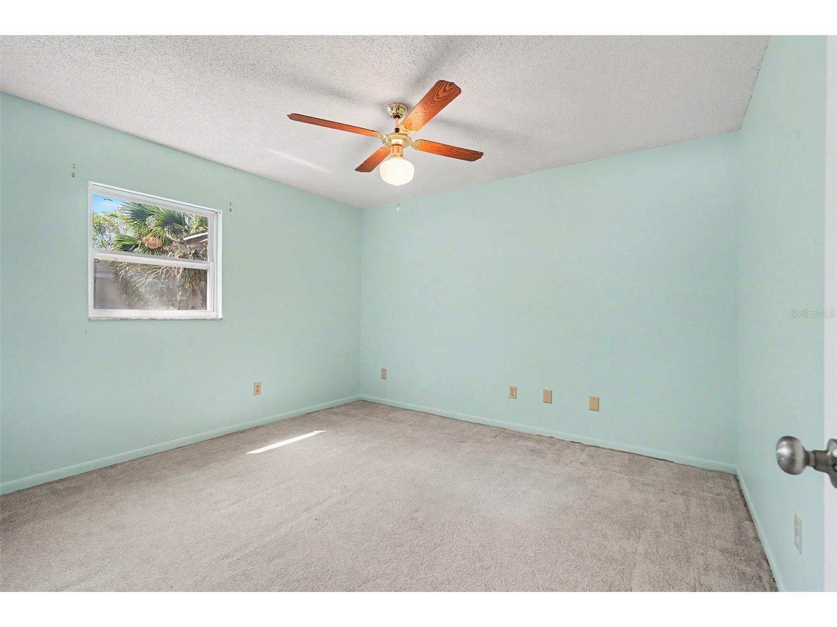2835 Bellwood Dr Brandon FL 33511 TB8489657 image31