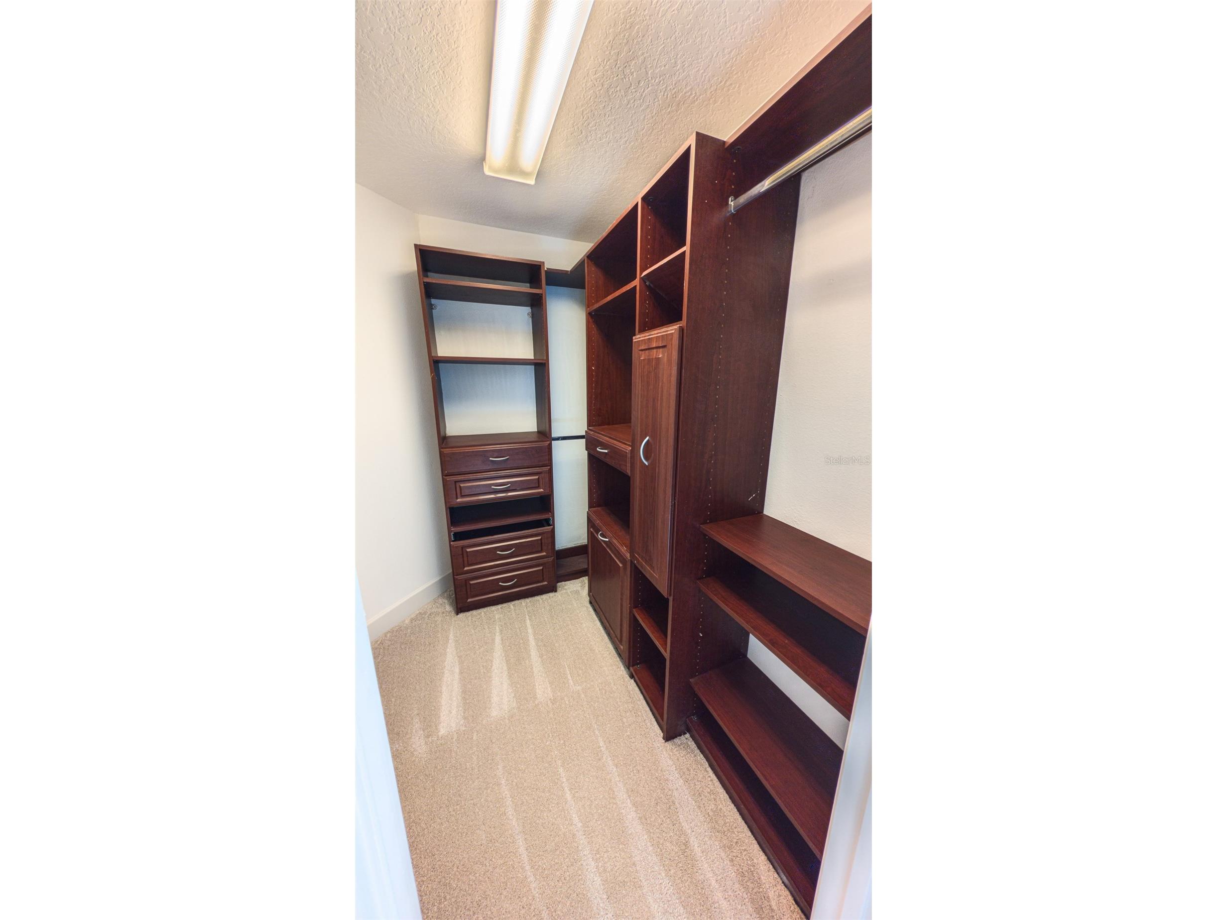 2835 Migliara Lane Ocoee FL 34761 - LAKE APOPKA O6412118 image21