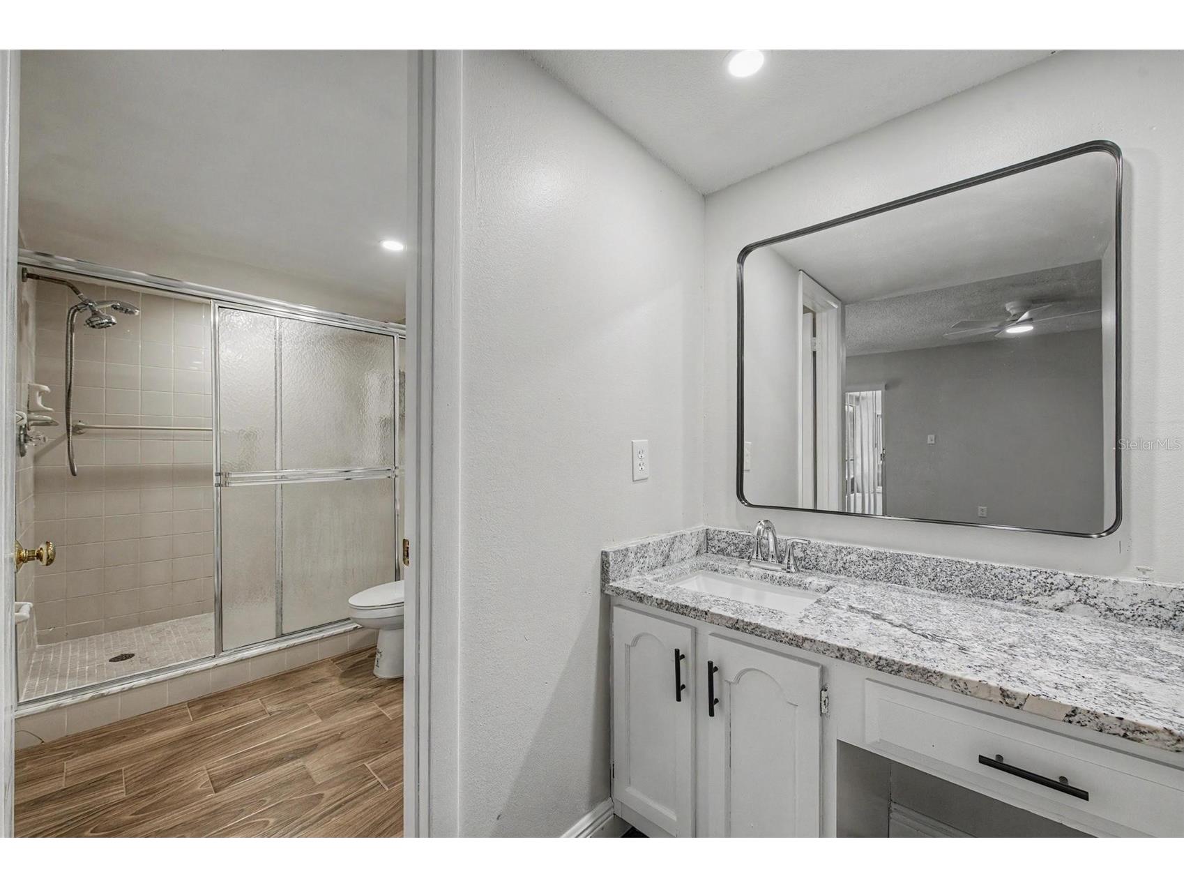28353 Tanglewood Drive Wesley Chapel FL 33543 TB8517261 image24