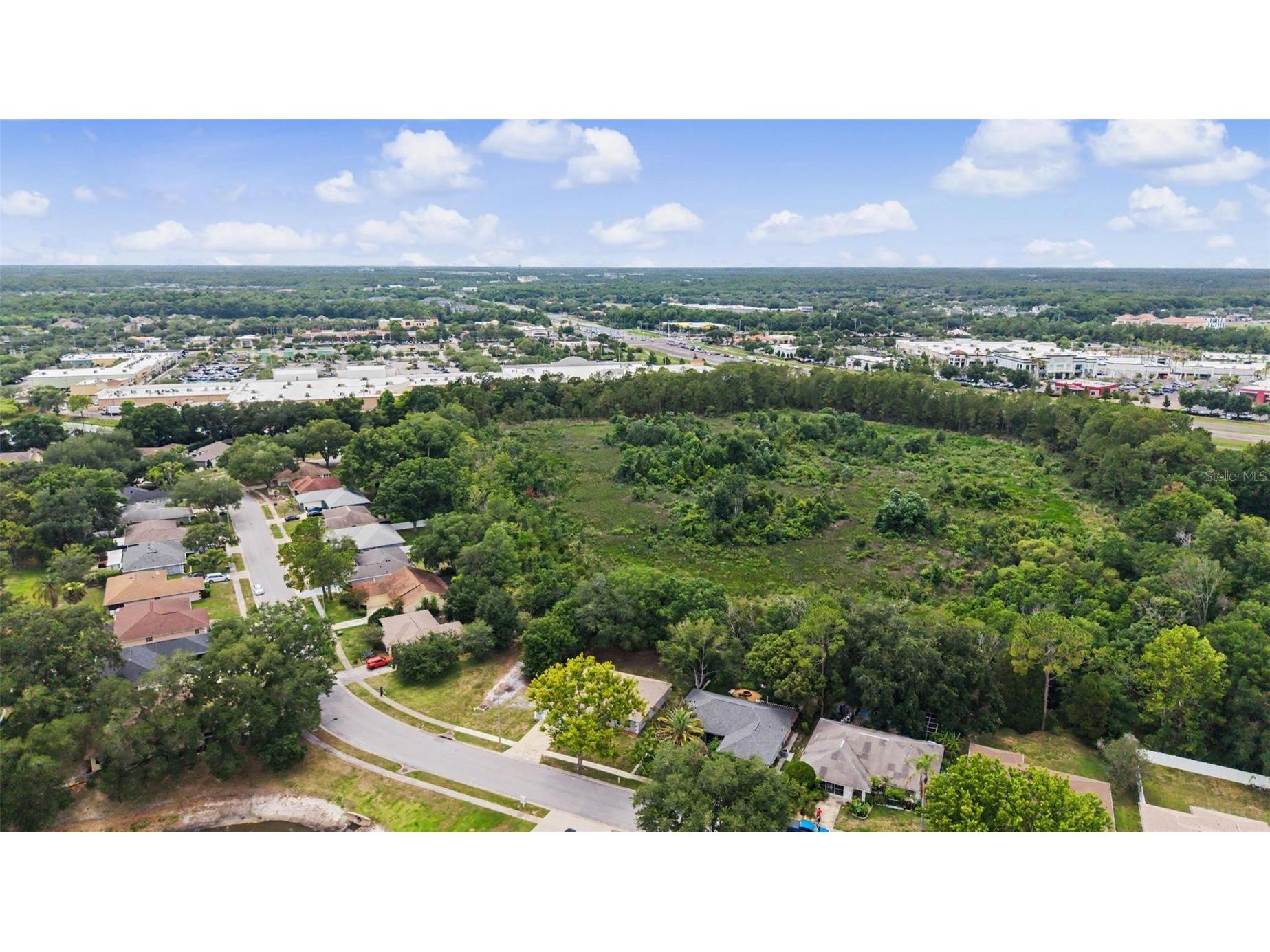 28353 Tanglewood Drive Wesley Chapel FL 33543 TB8517261 image35