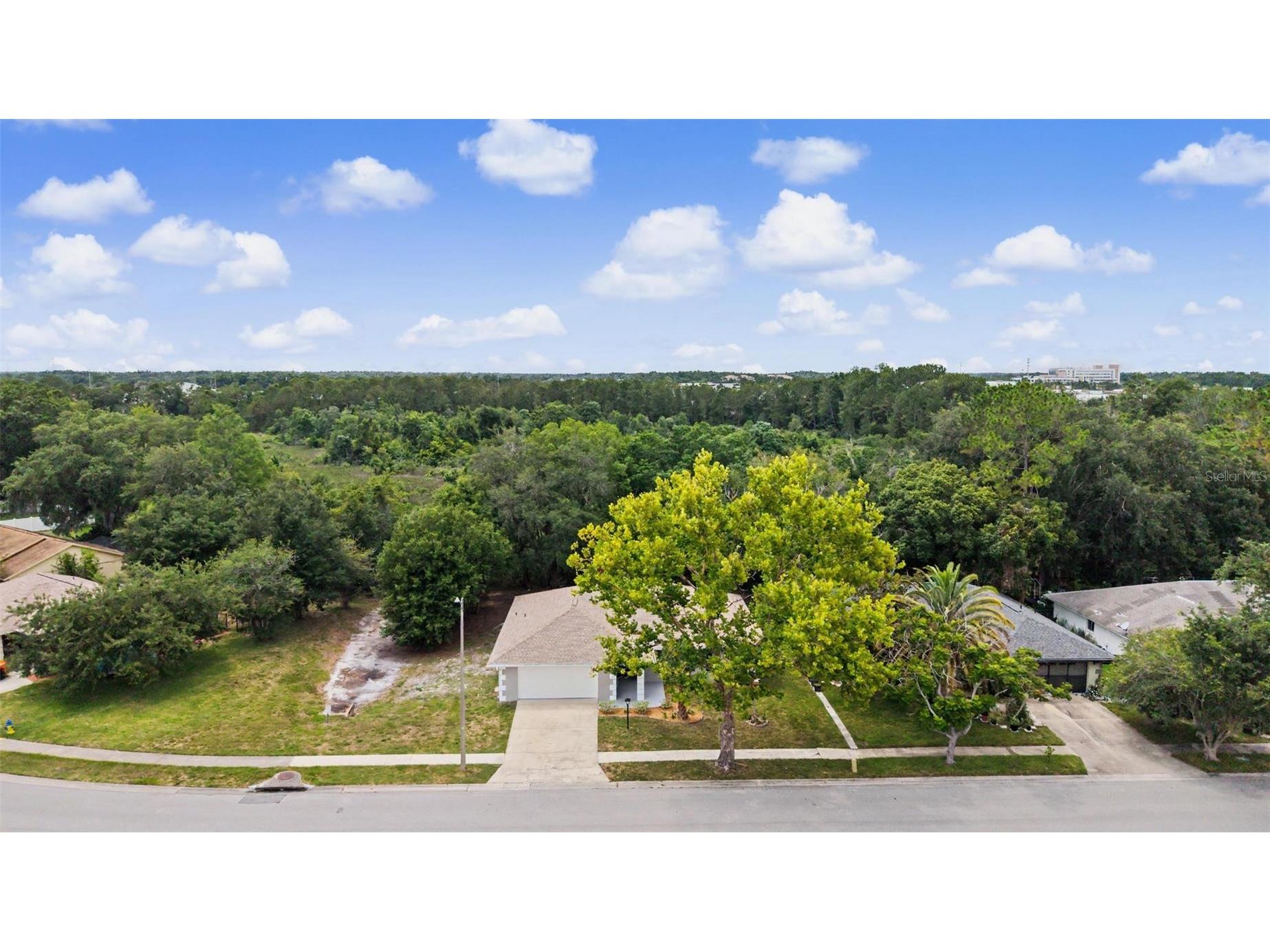 28353 Tanglewood Drive Wesley Chapel FL 33543 TB8517261 image36