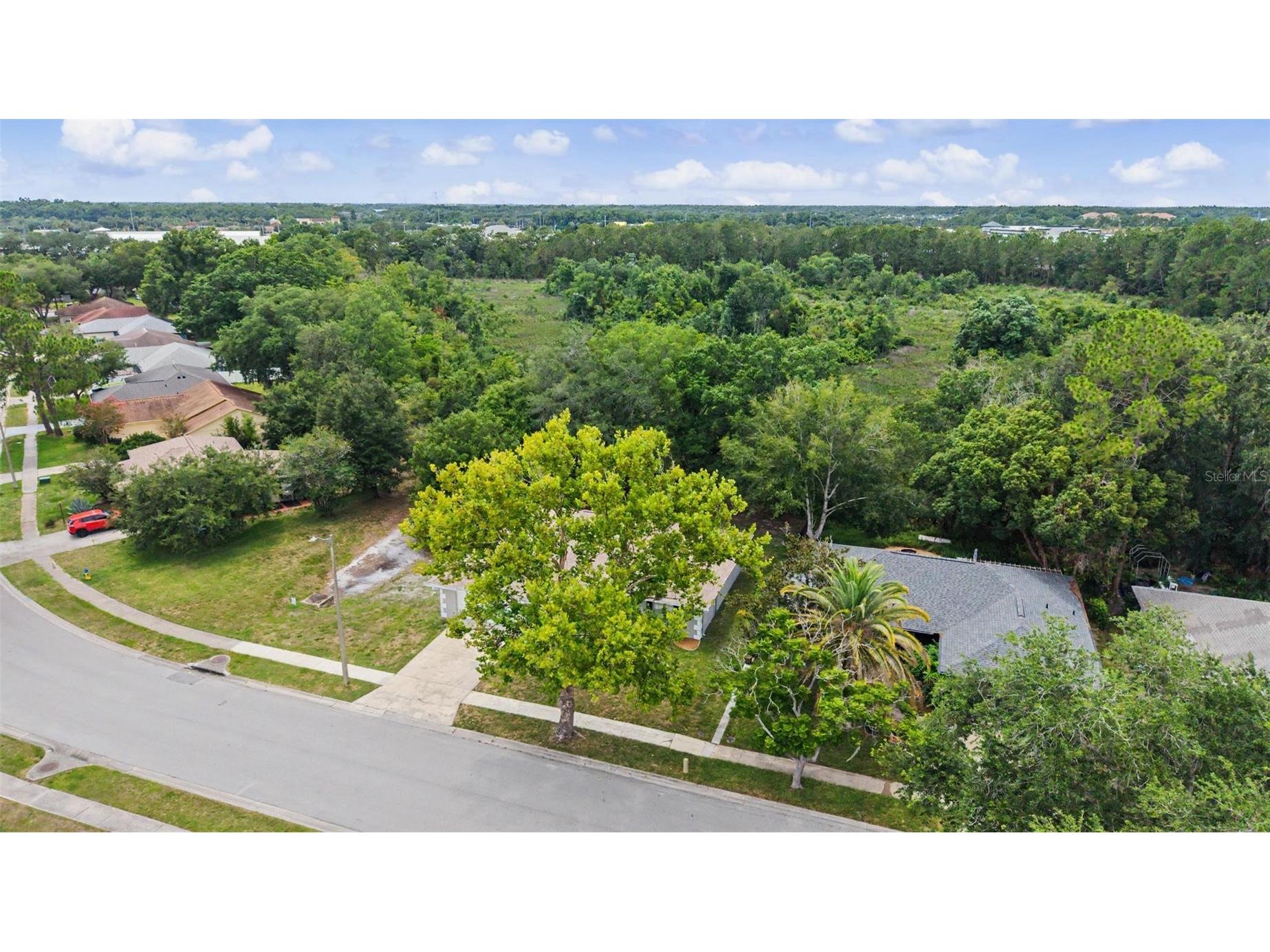 28353 Tanglewood Drive Wesley Chapel FL 33543 TB8517261 image37