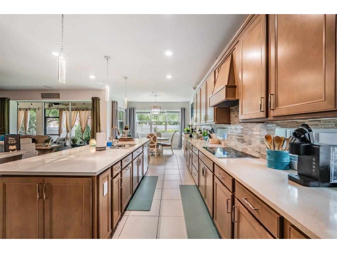 2836 Buckhorn Forest Drive Valrico FL 33594 TB8409168 image12