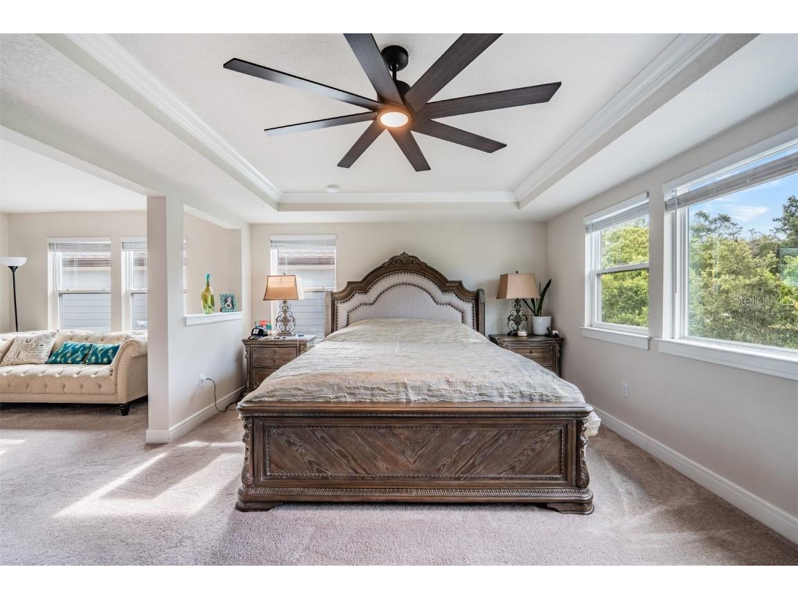 2836 Buckhorn Forest Drive Valrico FL 33594 TB8409168 image27