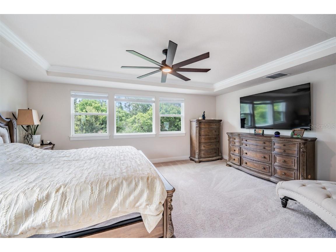 2836 Buckhorn Forest Drive Valrico FL 33594 TB8409168 image28