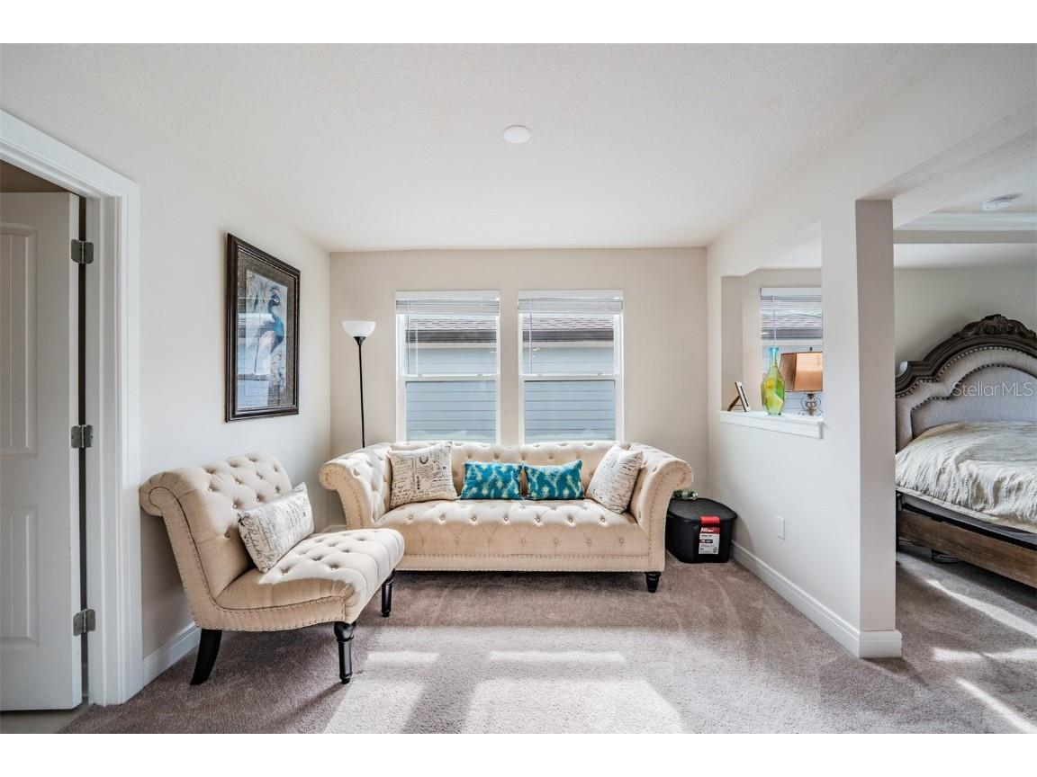 2836 Buckhorn Forest Drive Valrico FL 33594 TB8409168 image29