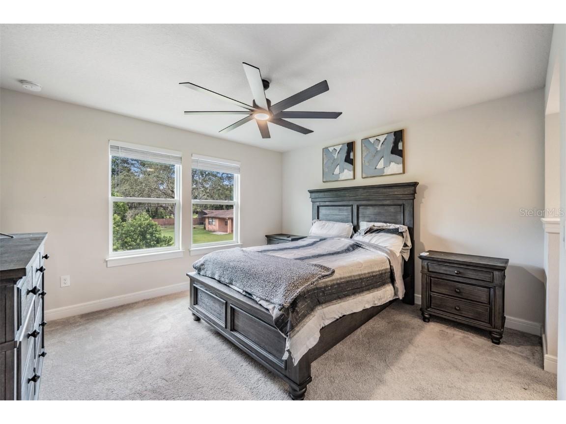 2836 Buckhorn Forest Drive Valrico FL 33594 TB8409168 image39