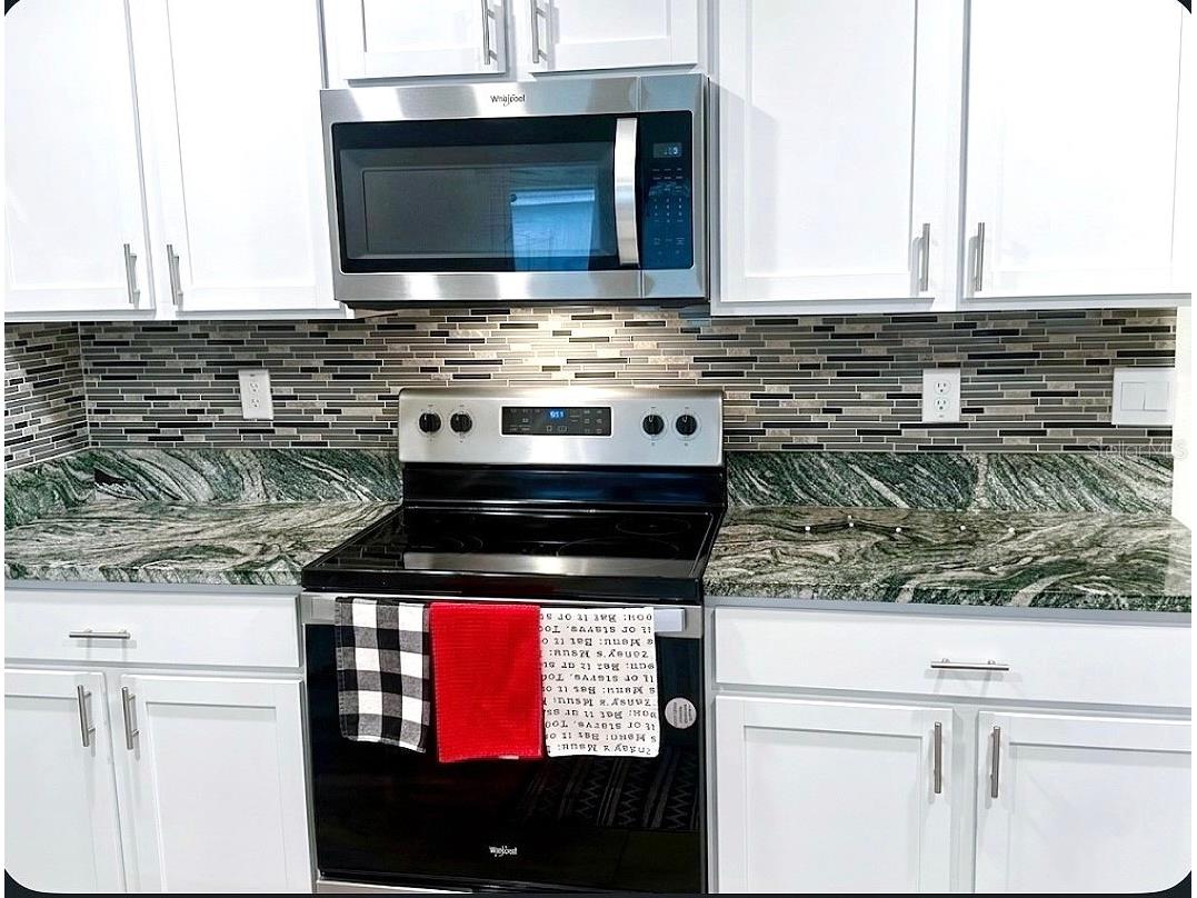 2836 Gumbo Limbo Drive Wimauma FL 33598 TB8505128 image12