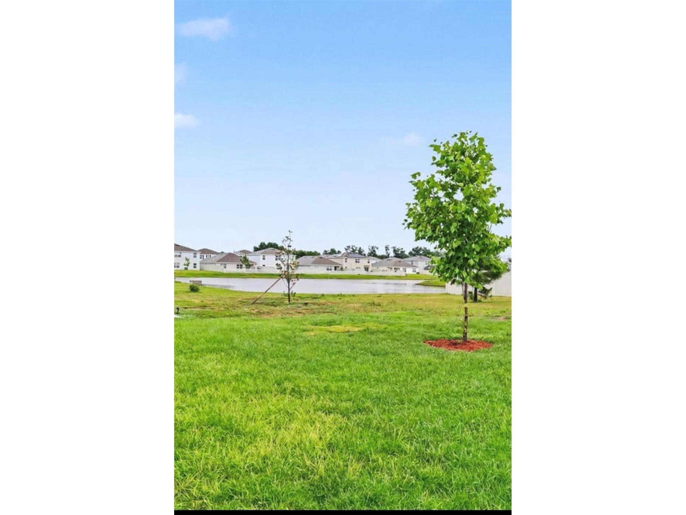 2836 Gumbo Limbo Drive Wimauma FL 33598 TB8505128 image27