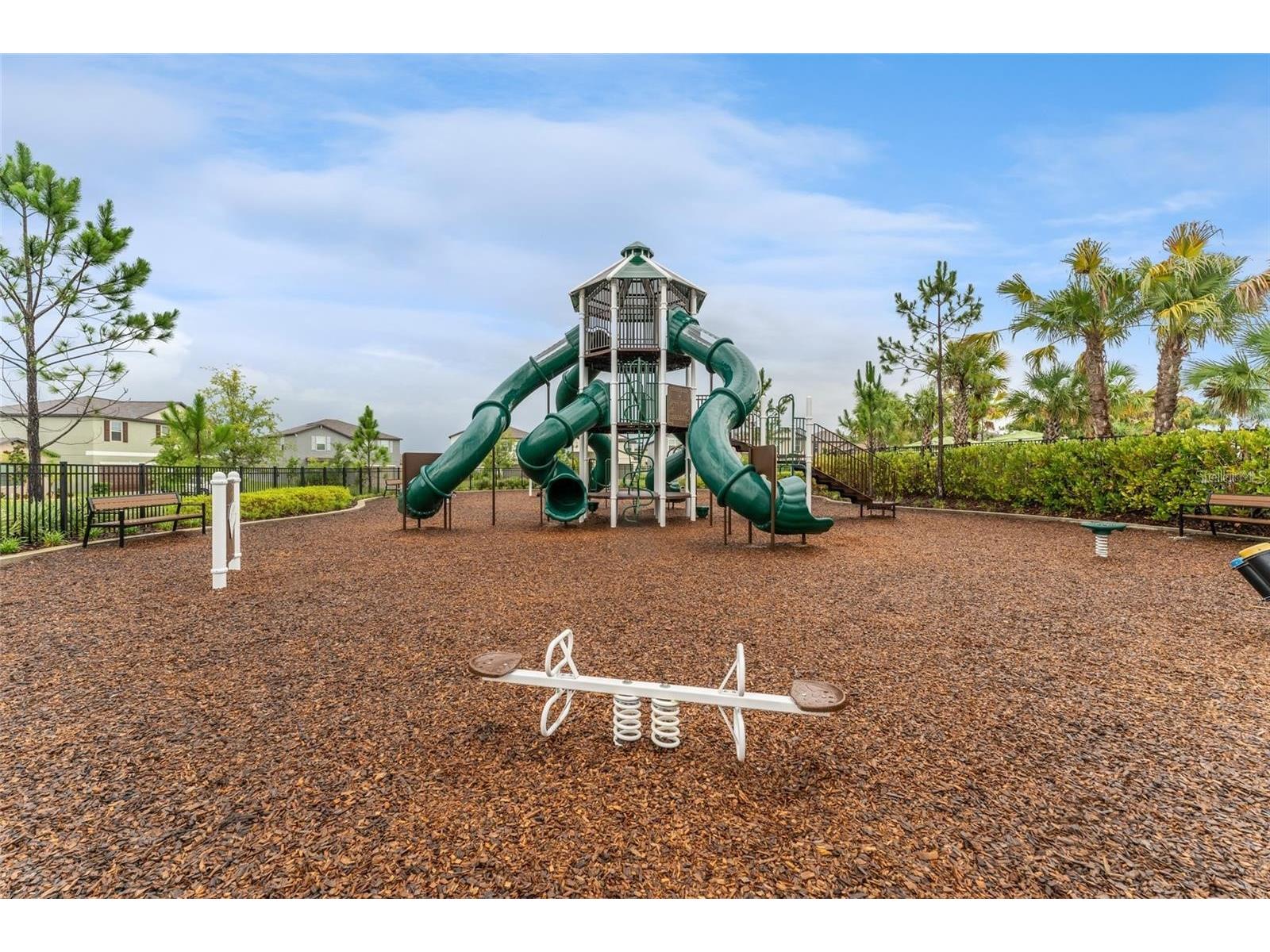 2836 Gumbo Limbo Drive Wimauma FL 33598 TB8505128 image31