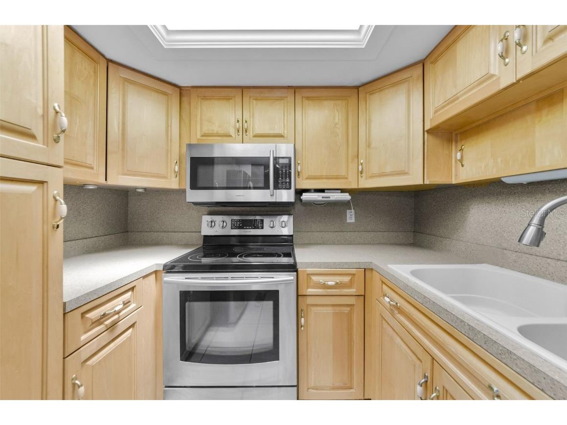 2836 Highlands Boulevard #A Palm Harbor FL 34684 - LAKE TARPON TB8423286 image14