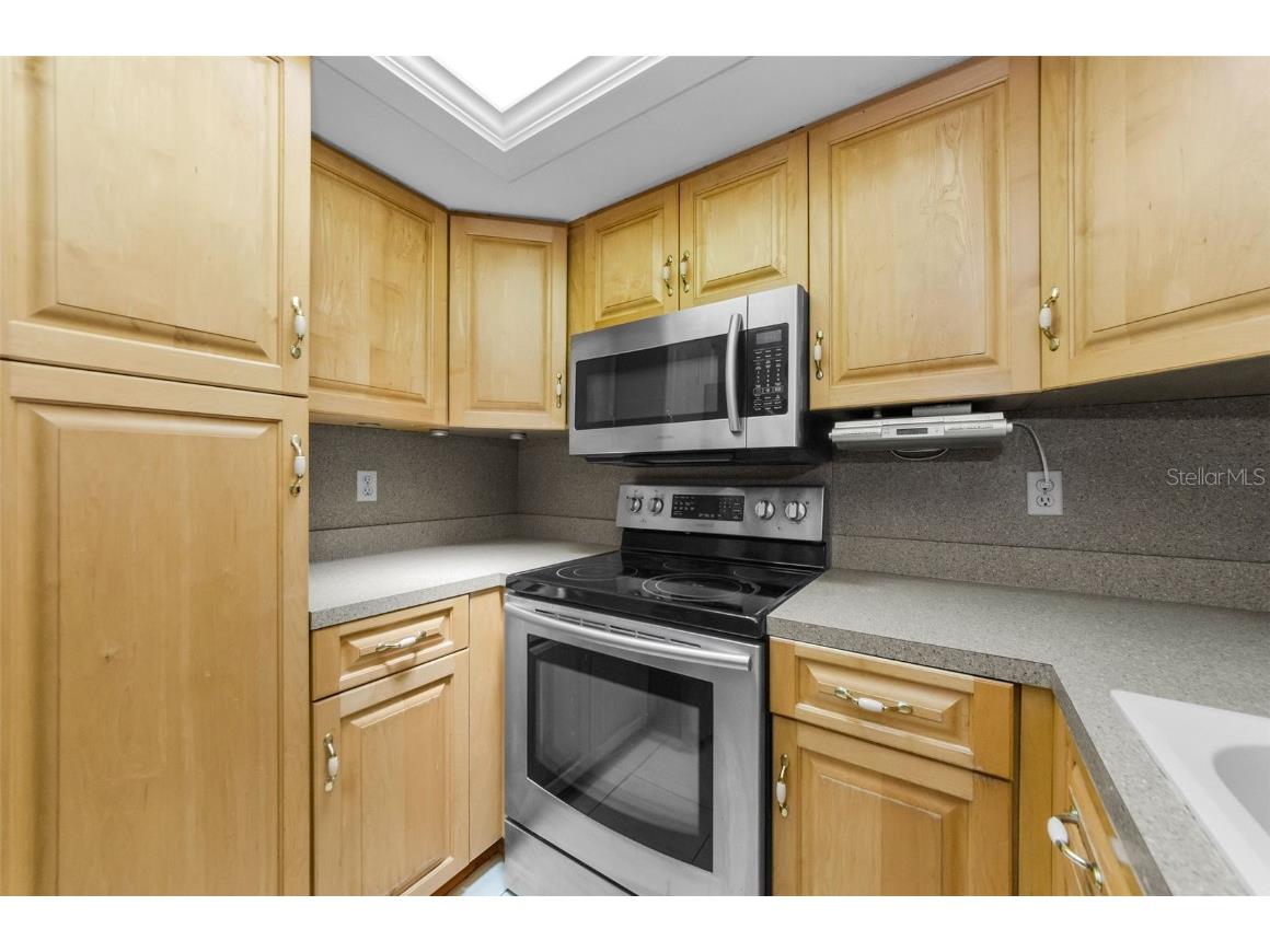 2836 Highlands Boulevard #A Palm Harbor FL 34684 - LAKE TARPON TB8423286 image15