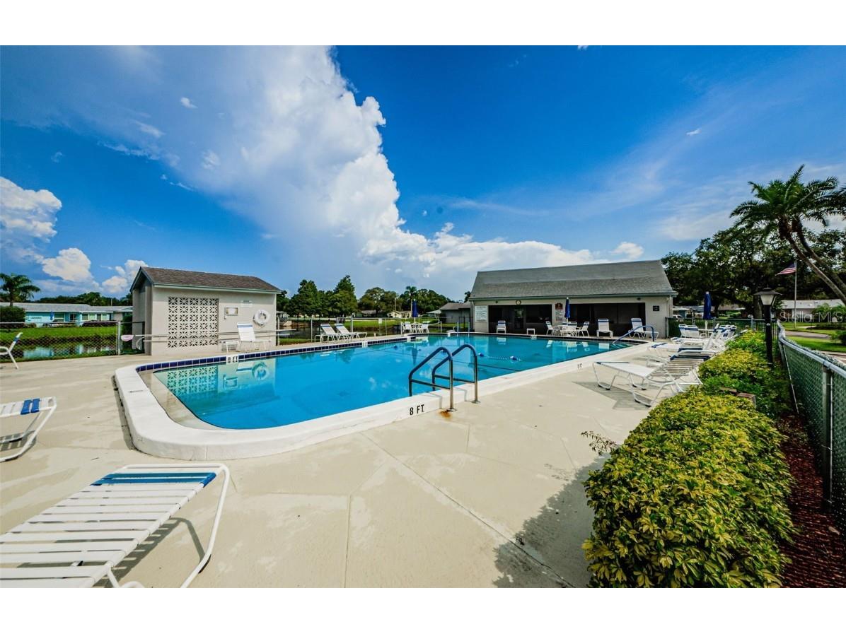 2836 Highlands Boulevard #A Palm Harbor FL 34684 - LAKE TARPON TB8423286 image43