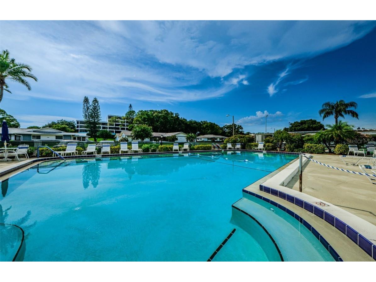 2836 Highlands Boulevard #A Palm Harbor FL 34684 - LAKE TARPON TB8423286 image44