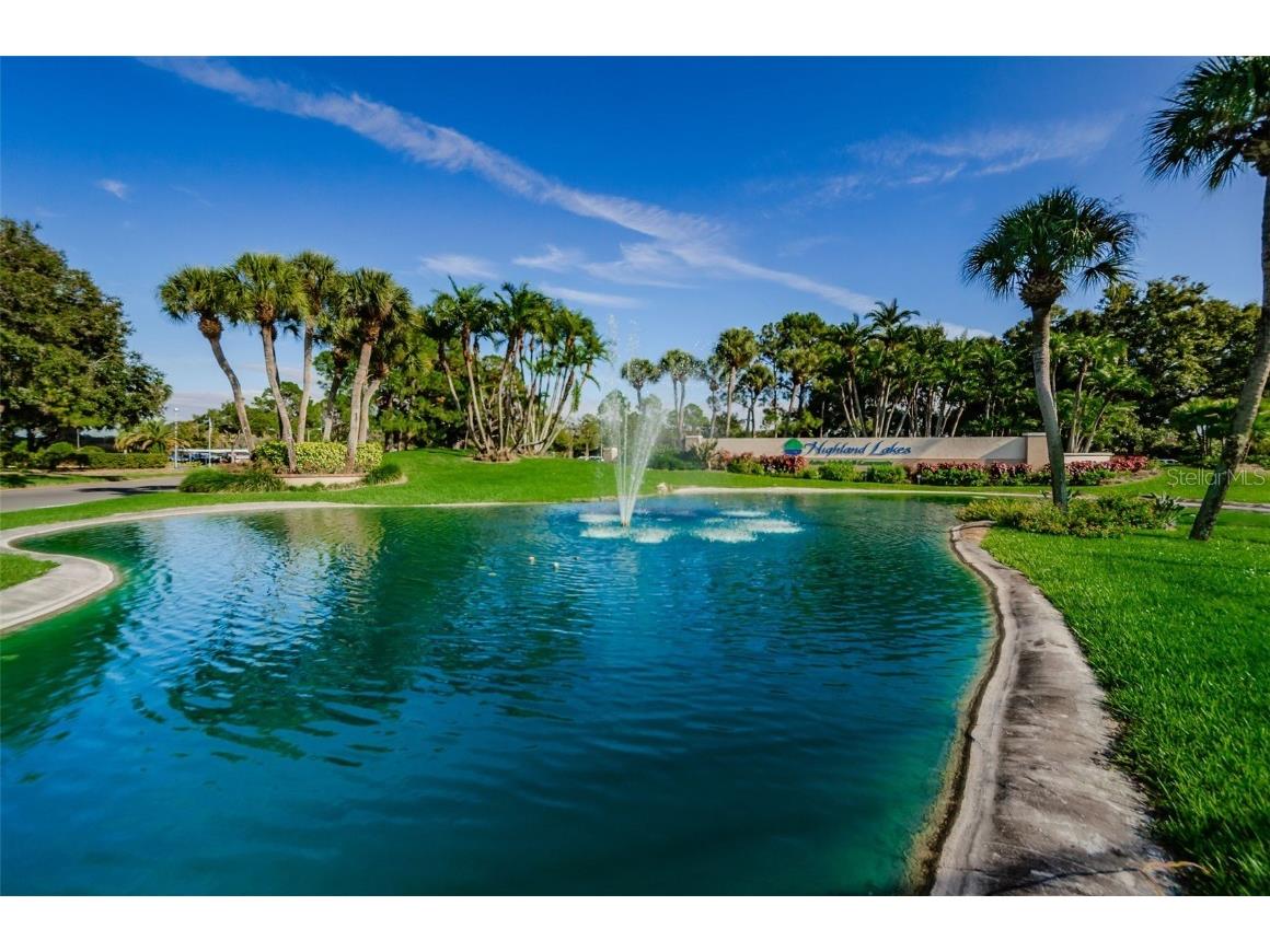 2836 Highlands Boulevard #A Palm Harbor FL 34684 - LAKE TARPON TB8423286 image48