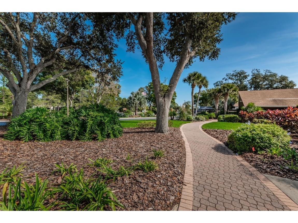 2836 Highlands Boulevard #A Palm Harbor FL 34684 - LAKE TARPON TB8423286 image50
