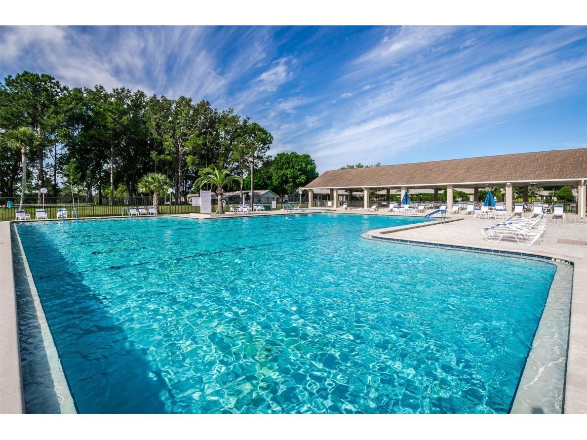 2836 Highlands Boulevard #A Palm Harbor FL 34684 - LAKE TARPON TB8423286 image52